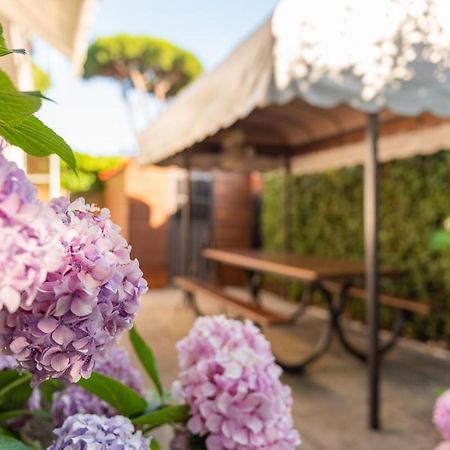 Apartment Holiday Versilia Camaiore Εξωτερικό φωτογραφία