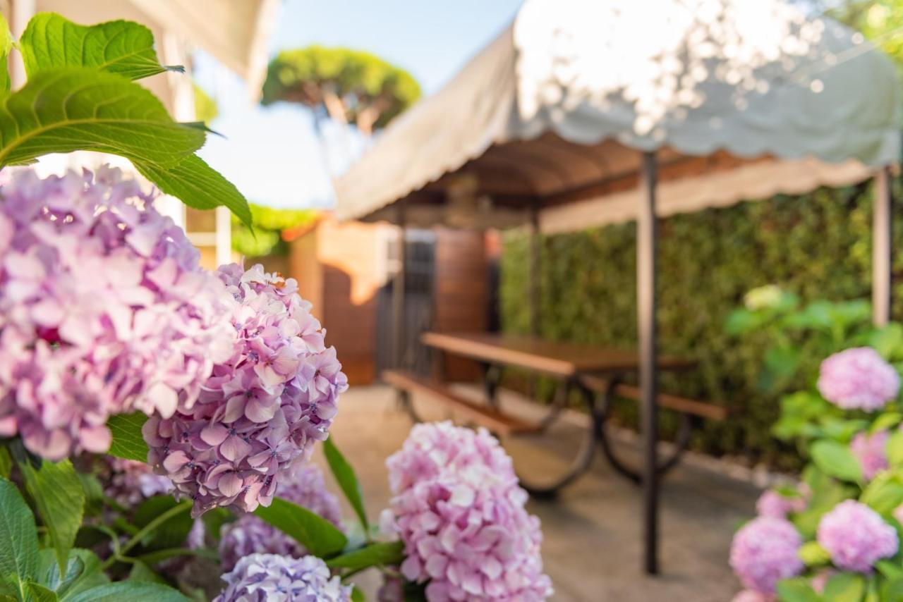Apartment Holiday Versilia Camaiore Εξωτερικό φωτογραφία